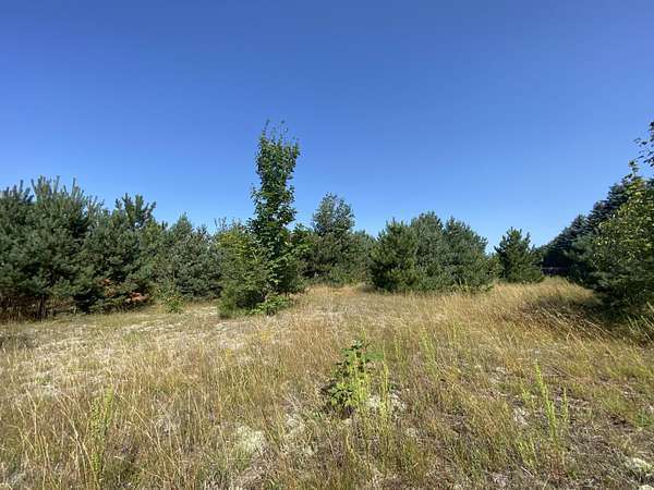 0.67 Acres of Residential Land for Sale in Gaylord, Michigan