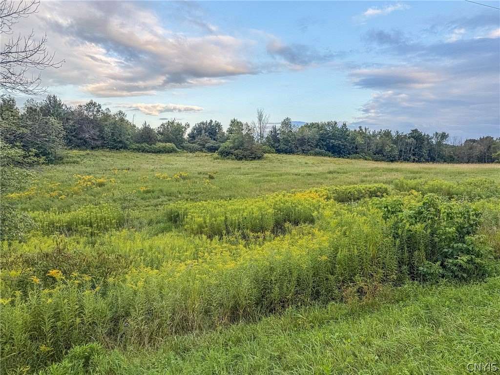 4.4 Acres of Residential Land for Sale in Antwerp, New York