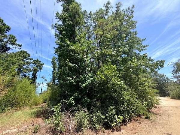 0.44 Acres of Residential Land for Sale in Jasper, Texas