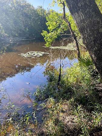 31.2 Acres of Land for Sale in Oakhurst, Texas