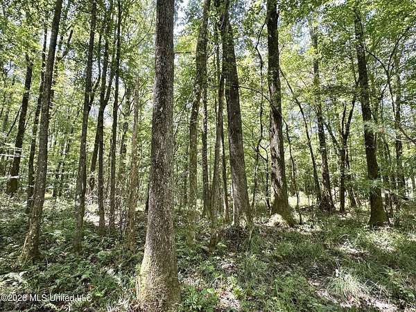 28.5 Acres of Recreational & Residential Land for Sale in Enterprise, Mississippi