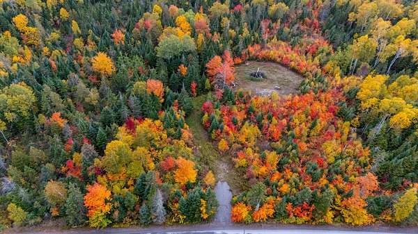 50 Acres of Recreational Land for Sale in Dallas Plantation, Maine