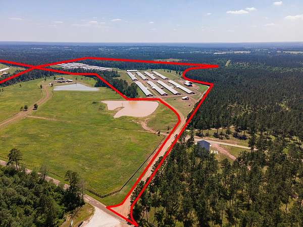 96 Acres of Agricultural Land for Sale in Douglass, Texas