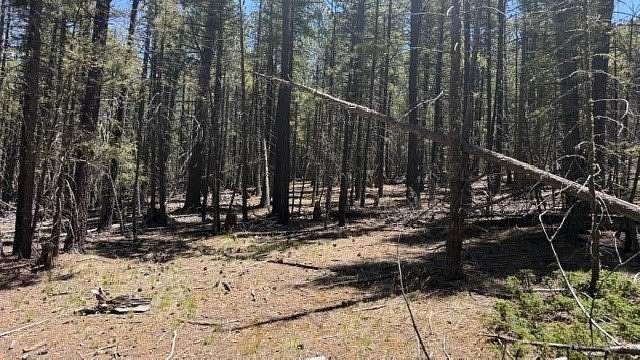 43.9 Acres of Recreational & Residential Land for Sale in Pecos, New Mexico