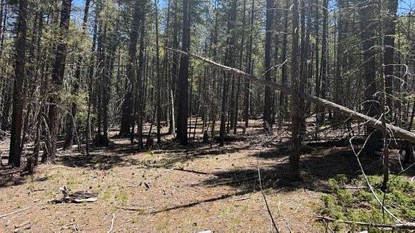 43.9 Acres of Recreational & Residential Land for Sale in Pecos, New Mexico