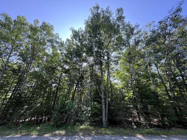 0.73 Acres of Residential Land for Sale in Presque Isle, Michigan