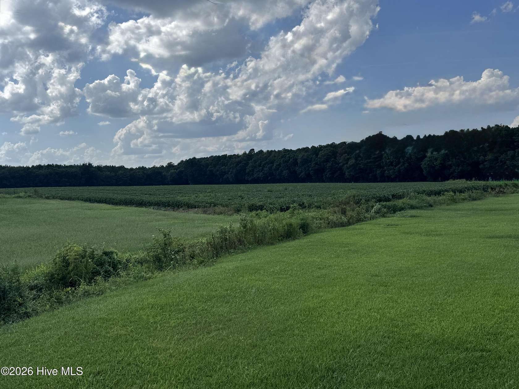 23.7 Acres of Land for Sale in Richlands, North Carolina
