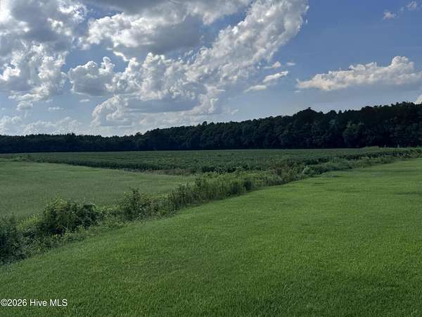 23.7 Acres of Land for Sale in Richlands, North Carolina
