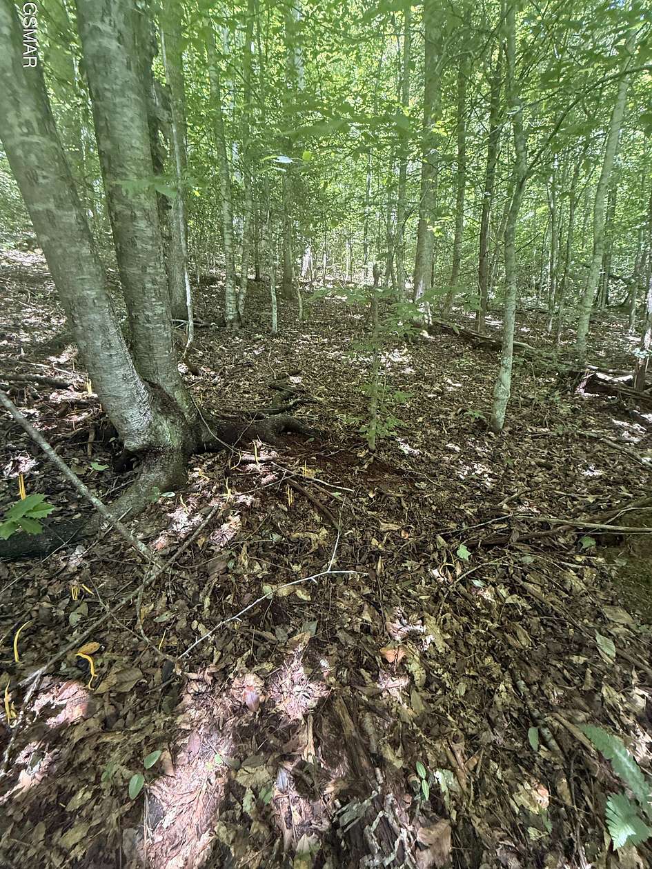 3.46 Acres of Residential Land for Sale in Sevierville, Tennessee