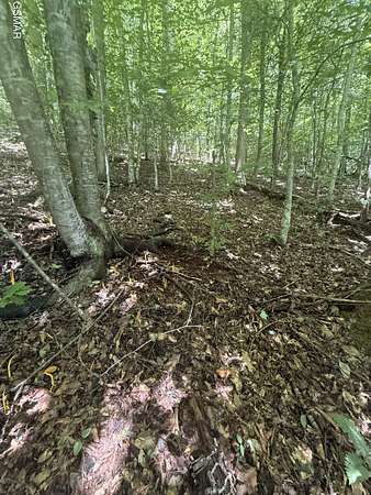 3.46 Acres of Residential Land for Sale in Sevierville, Tennessee