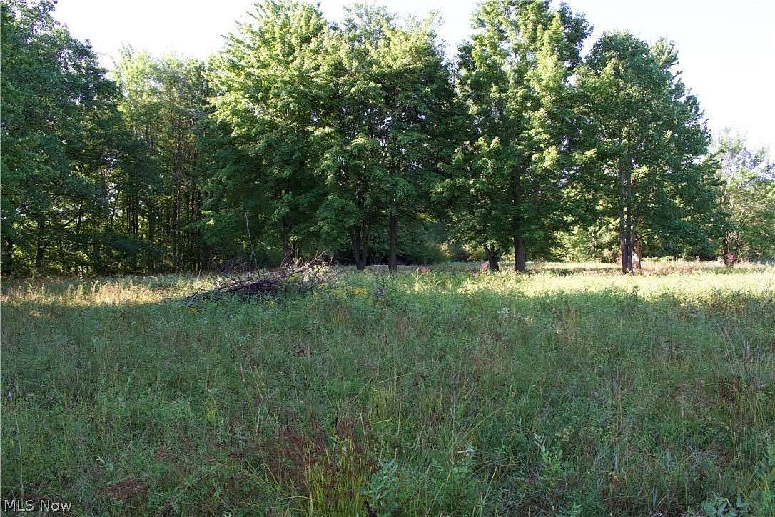 6.39 Acres of Residential Land for Sale in Thompson, Ohio