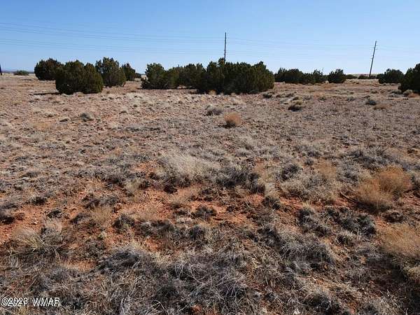 1.25 Acres of Residential Land for Sale in Snowflake, Arizona