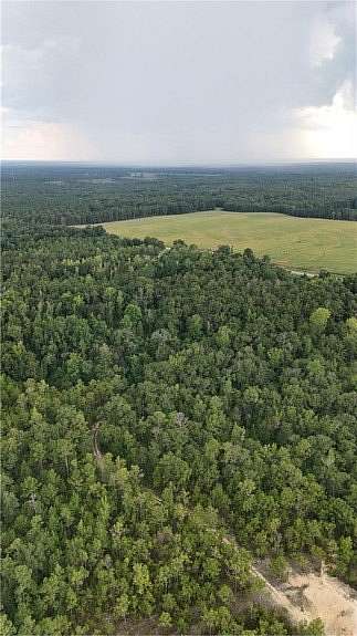 29 Acres of Recreational & Residential Land for Sale in Little Texas, Alabama
