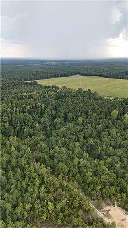 29 Acres of Recreational & Residential Land for Sale in Little Texas, Alabama