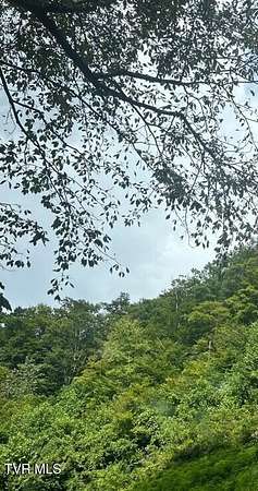 3.4 Acres of Residential Land for Sale in St. Charles, Virginia