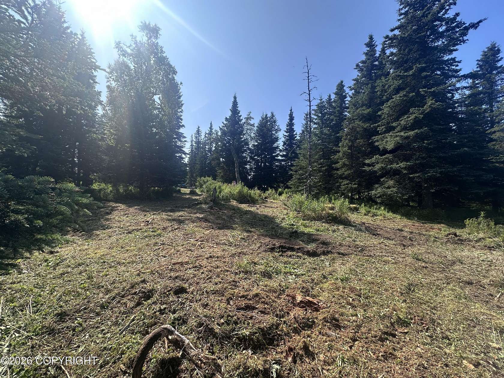 1 Acre of Land for Sale in Anchor Point, Alaska