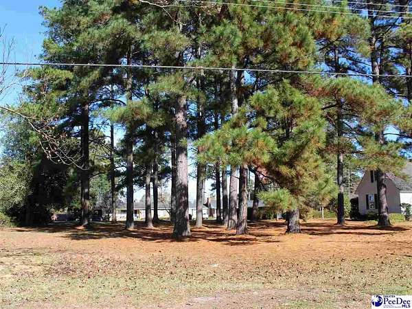 0.4 Acres of Residential Land for Sale in Marion, South Carolina