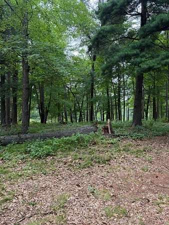 5 Acres of Residential Land for Sale in Chetek, Wisconsin