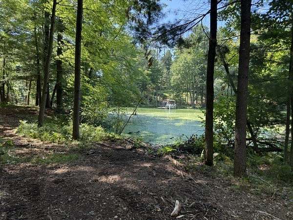 5 Acres of Residential Land for Sale in Chetek, Wisconsin