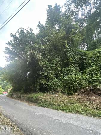 0.2 Acres of Residential Land for Sale in St. Charles, Virginia