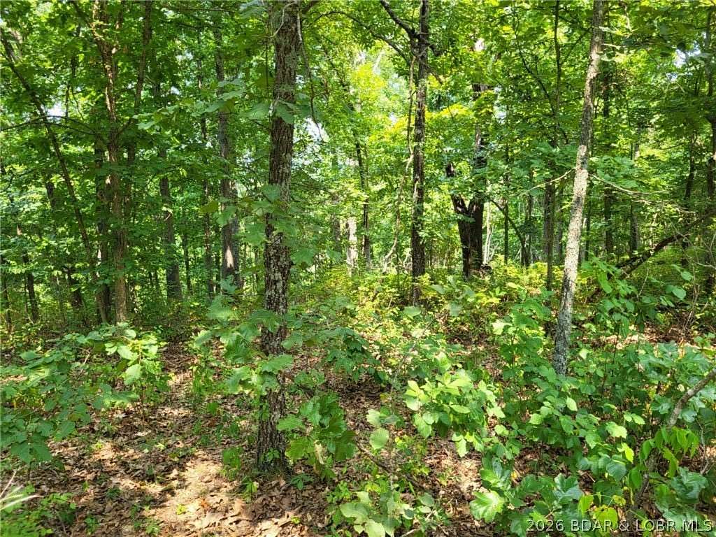 4 Acres of Residential Land for Sale in Edwards, Missouri