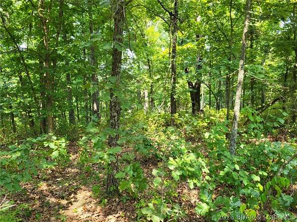 4 Acres of Residential Land for Sale in Edwards, Missouri
