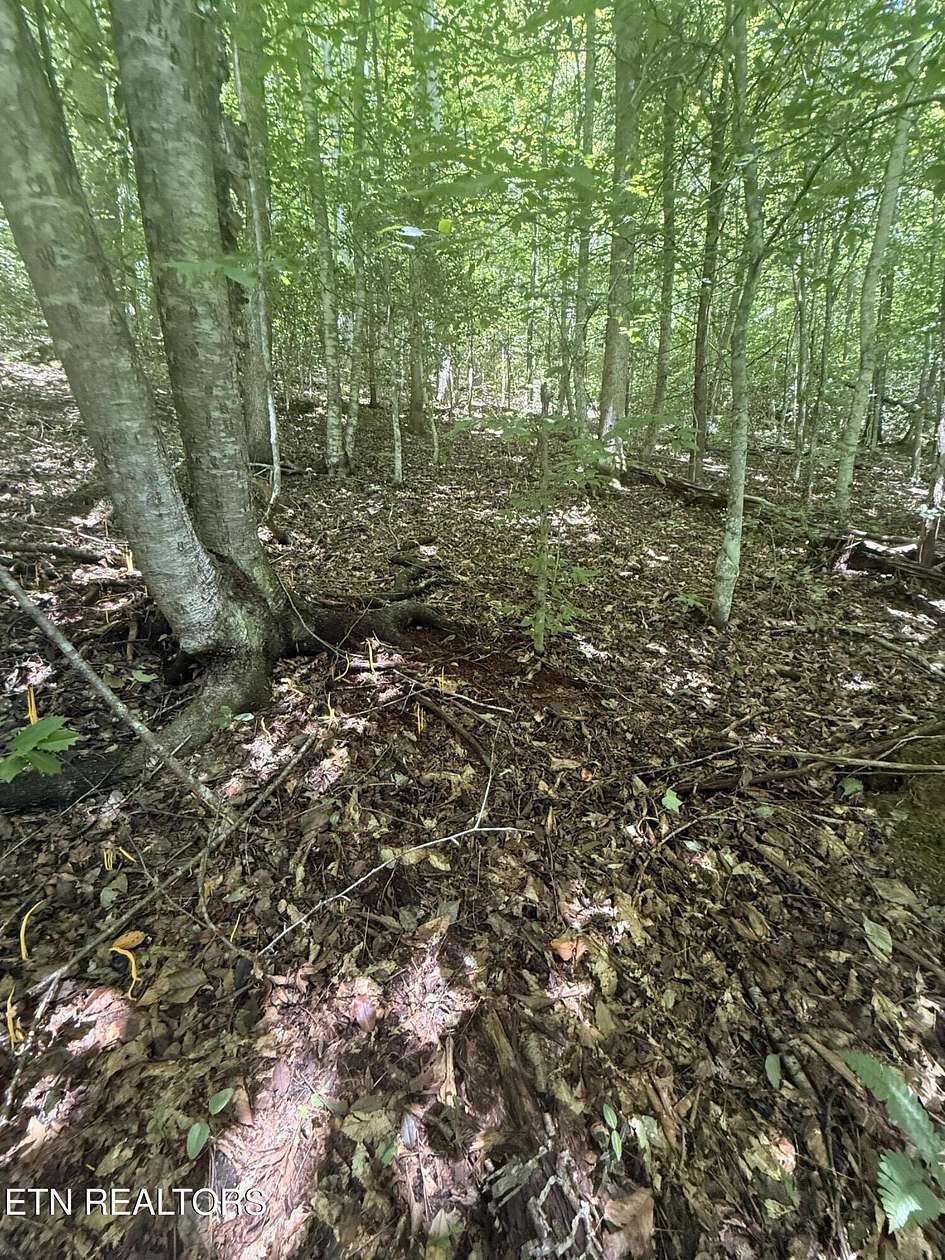 3.67 Acres of Residential Land for Sale in Sevierville, Tennessee