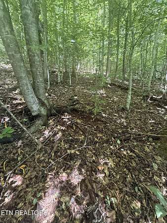 3.67 Acres of Residential Land for Sale in Sevierville, Tennessee