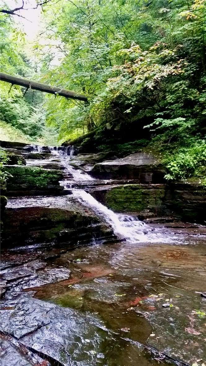 7.48 Acres of Land with Home for Sale in Bainbridge, New York
