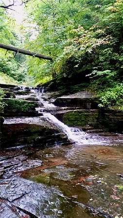 7.48 Acres of Land with Home for Sale in Bainbridge, New York