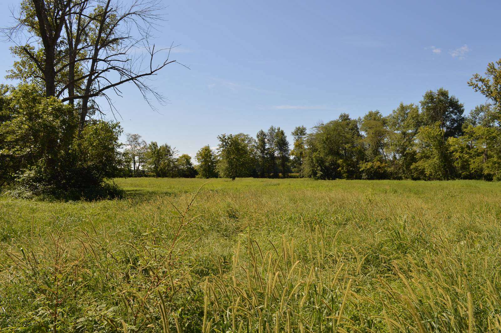 6 Acres of Residential Land for Sale in Golden Gate, Illinois
