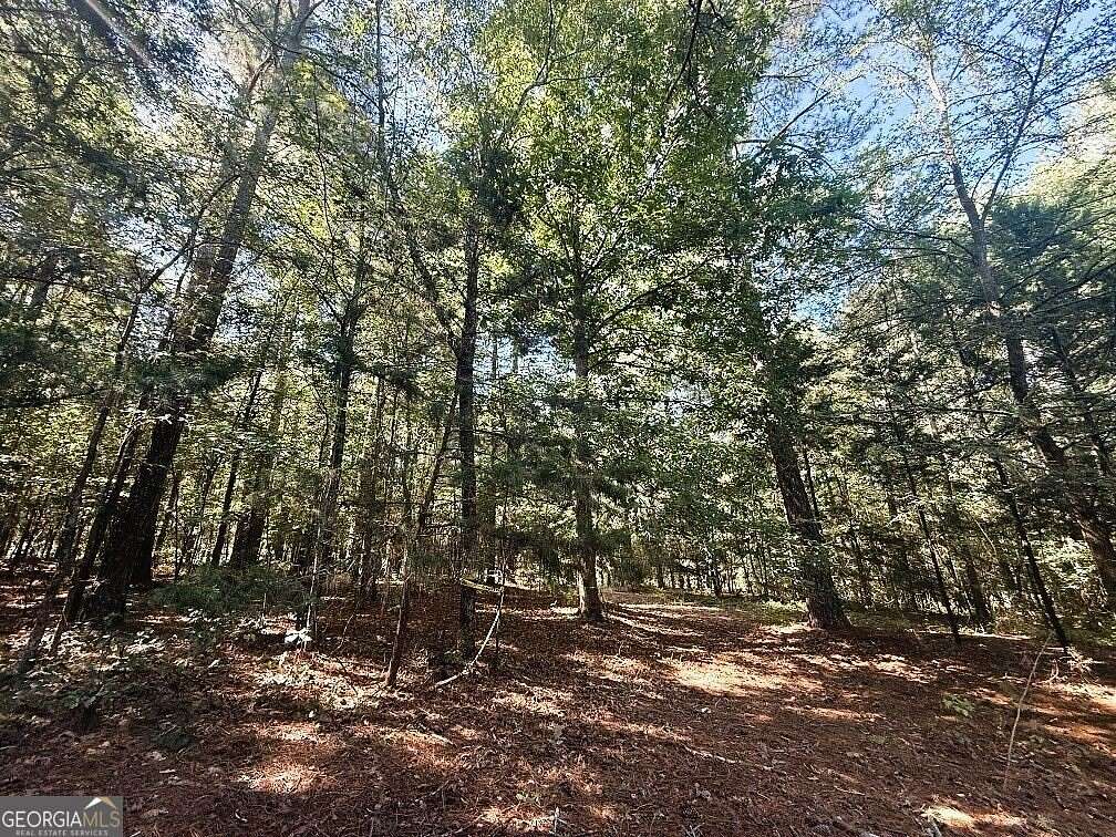 3.75 Acres of Land for Sale in Bowman, Georgia