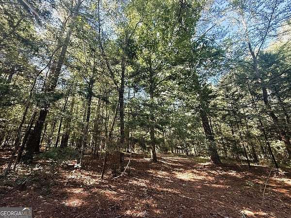3.75 Acres of Land for Sale in Bowman, Georgia