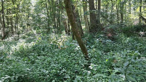 30 Acres of Recreational Land for Sale in Boonville, Indiana