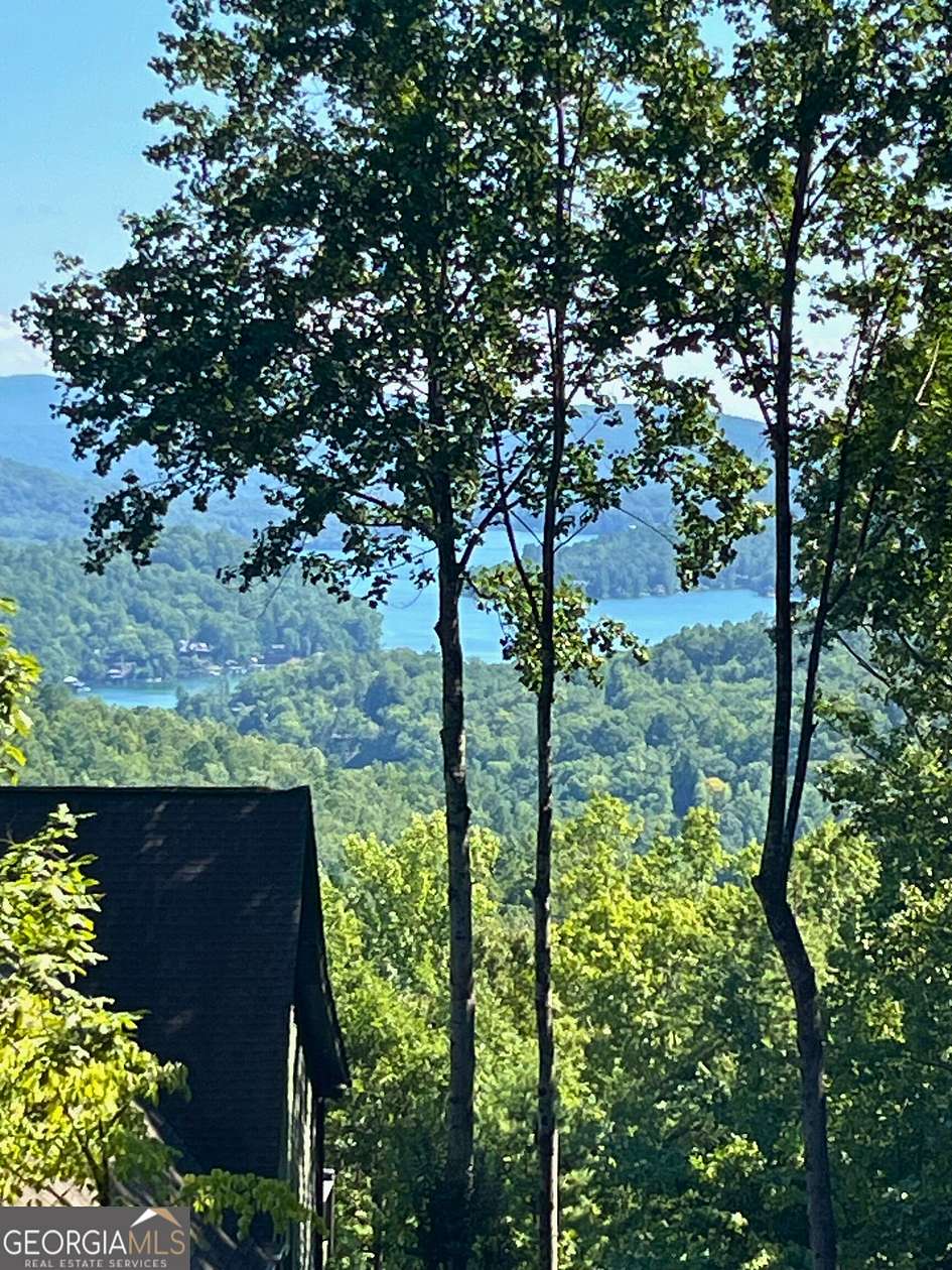 1 Acre of Residential Land for Sale in Clayton, Georgia