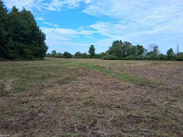 12.6 Acres of Recreational & Residential Land for Sale in Jeddo, Michigan
