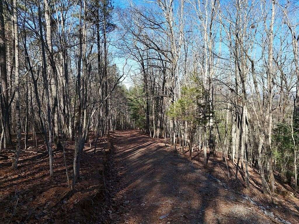 9.3 Acres of Residential Land for Sale in Blairsville, Georgia