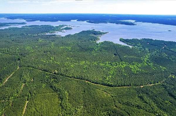 200 Acres of Recreational Land for Sale in Broaddus, Texas