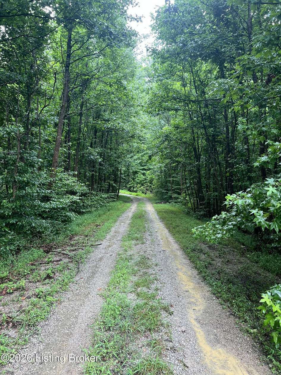 18.7 Acres of Land for Sale in Boston, Kentucky