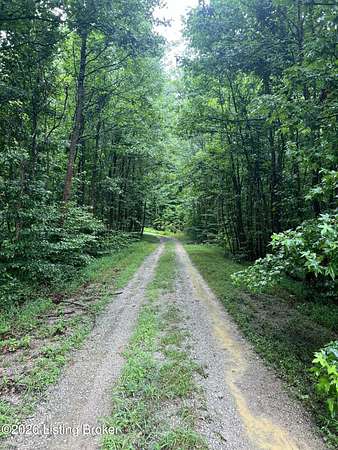 18.7 Acres of Land for Sale in Boston, Kentucky
