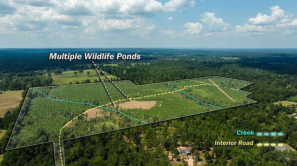 74.3 Acres of Recreational Land for Sale in Lufkin, Texas
