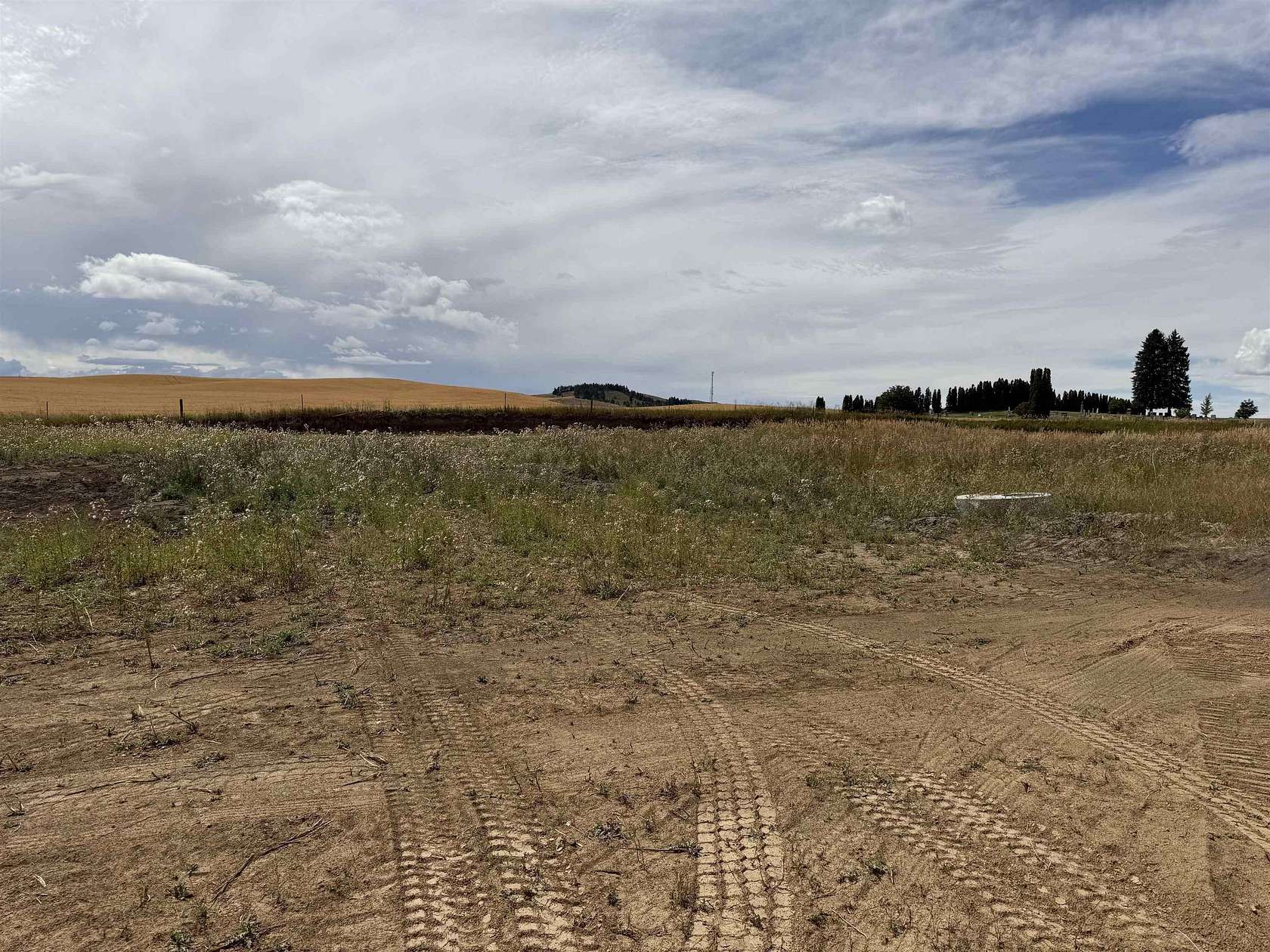 0.32 Acres of Residential Land for Sale in Reardan, Washington