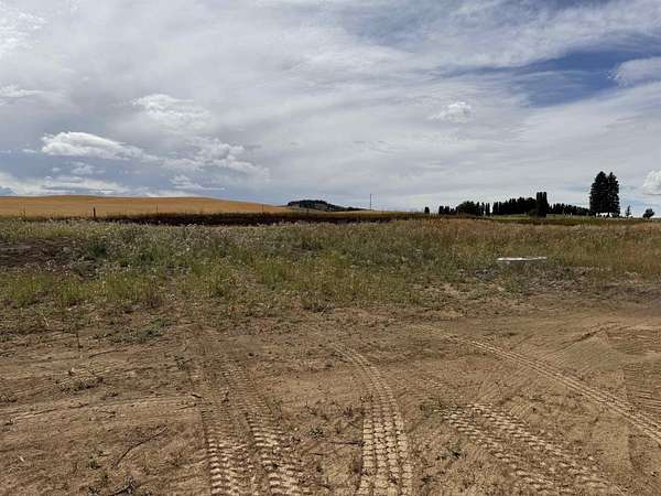 0.32 Acres of Residential Land for Sale in Reardan, Washington