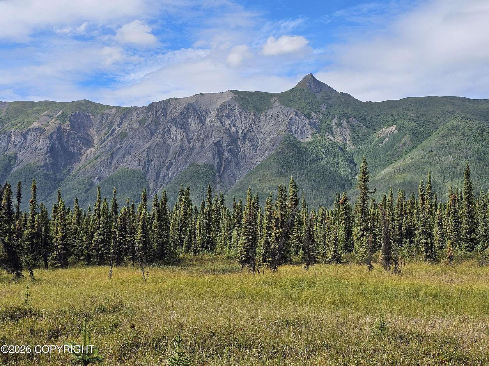 3 Acres of Residential Land for Sale in Chickaloon, Alaska