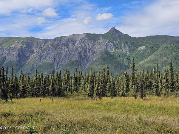 3 Acres of Residential Land for Sale in Chickaloon, Alaska