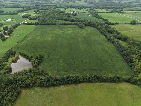32.5 Acres of Land for Sale in Denver, Missouri