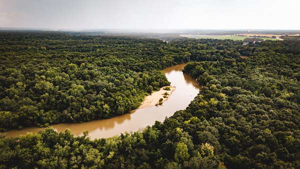 77 Acres of Land for Sale in Montezuma, Georgia