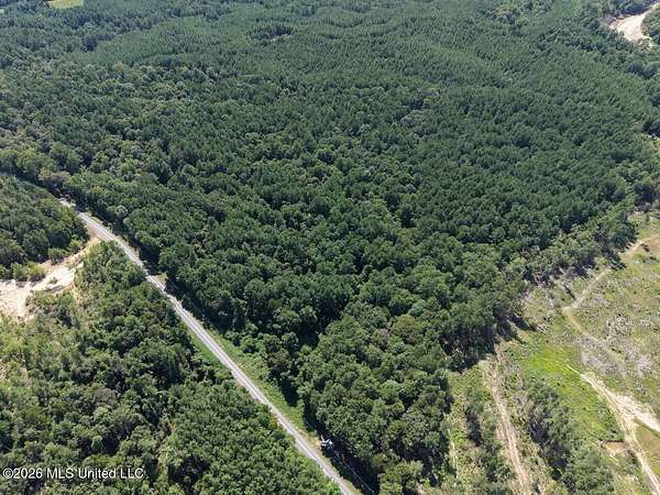 32 Acres of Land for Sale in Meadville, Mississippi