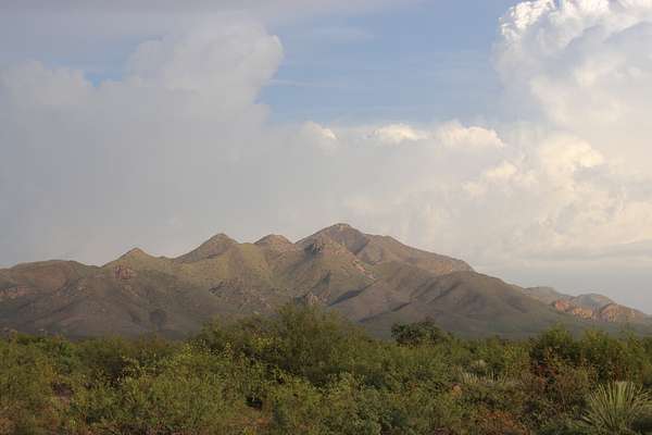 5 Acres of Land for Sale in Elfrida, Arizona