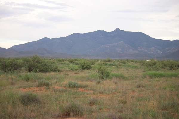 37.3 Acres of Land for Sale in Willcox, Arizona